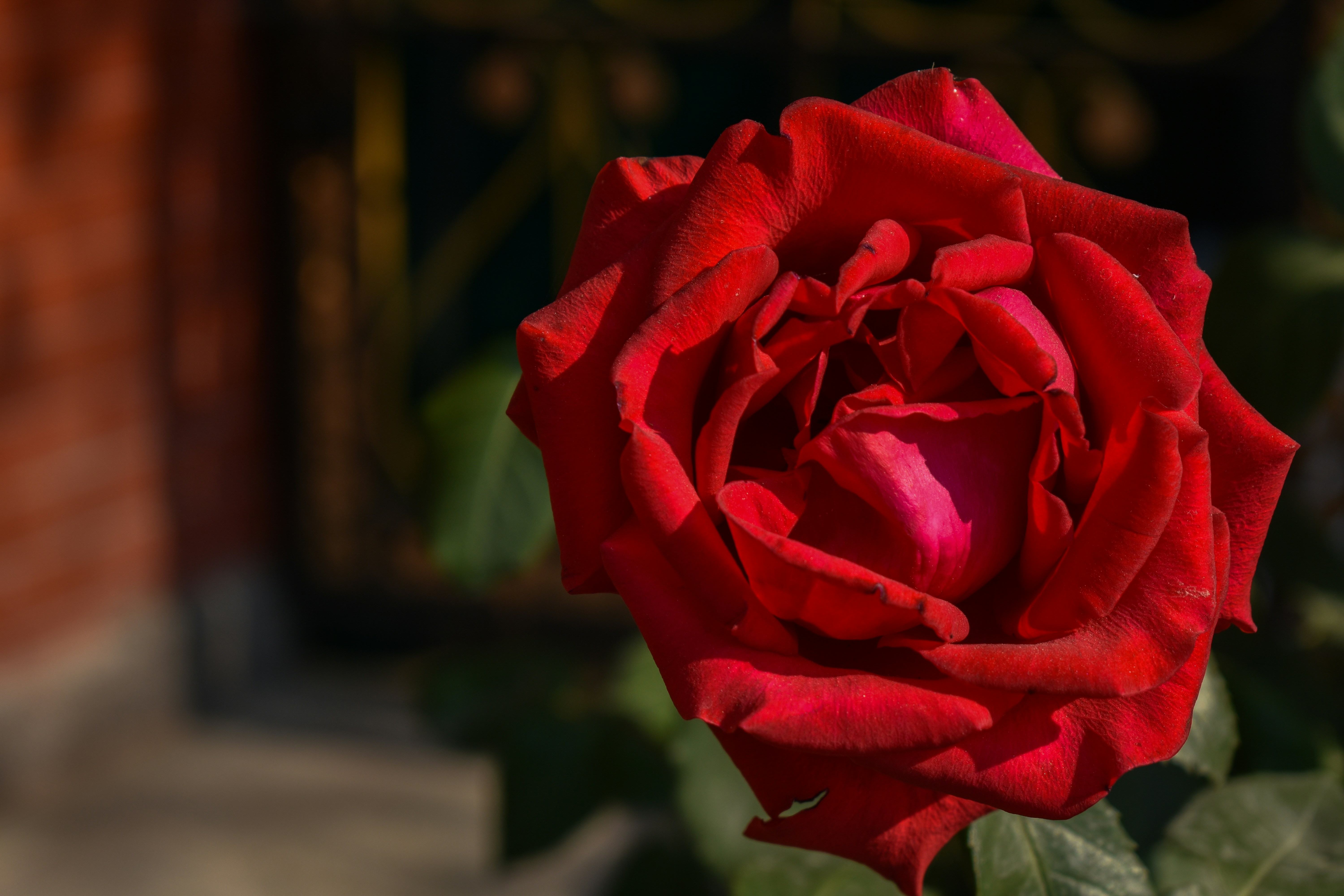 Photo by neelakshi_singh_