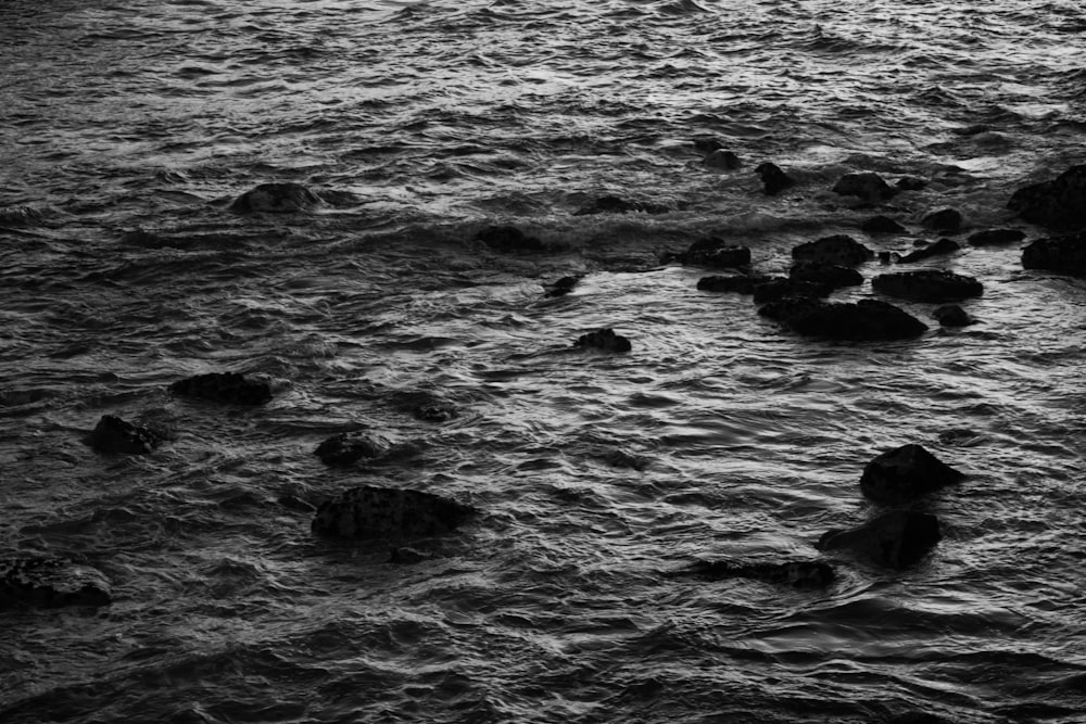 Una foto en blanco y negro de rocas en el agua