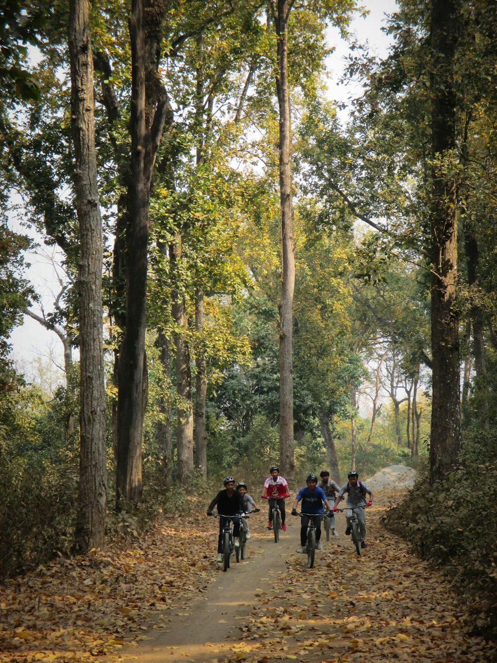 a group of people riding bikes down a leaf covered road