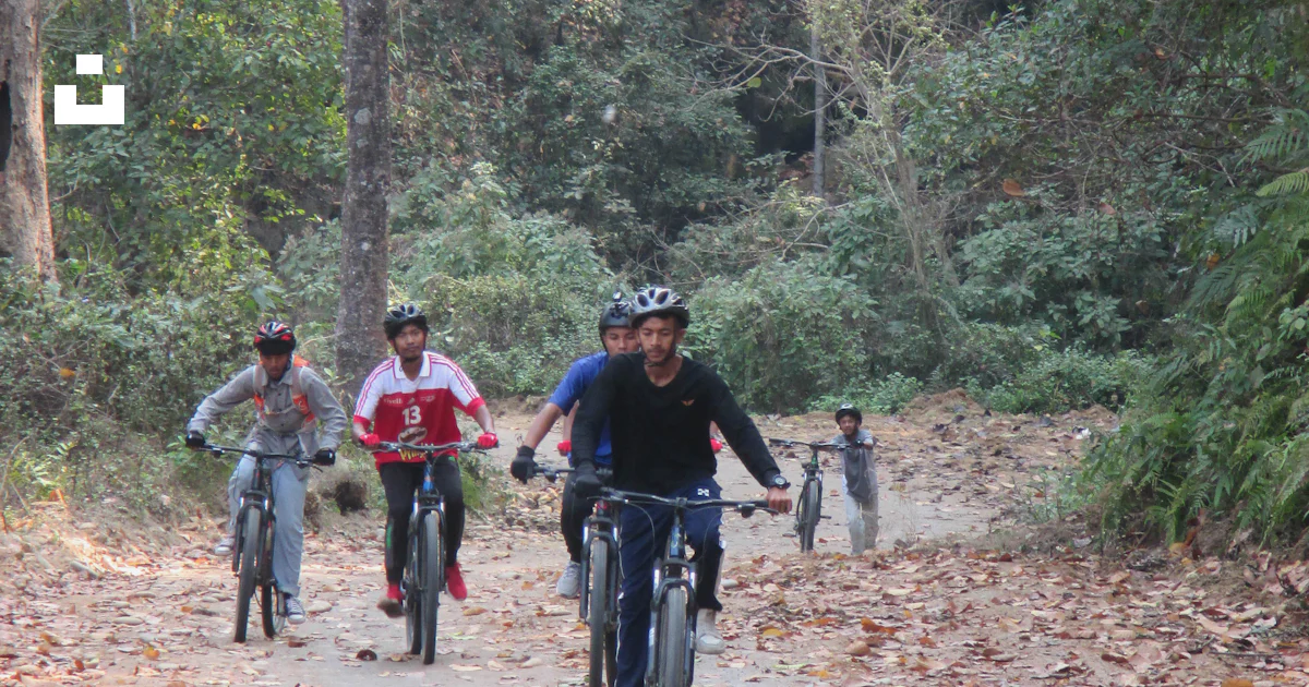 A group of people riding bikes down a leaf covered road photo – Free ...
