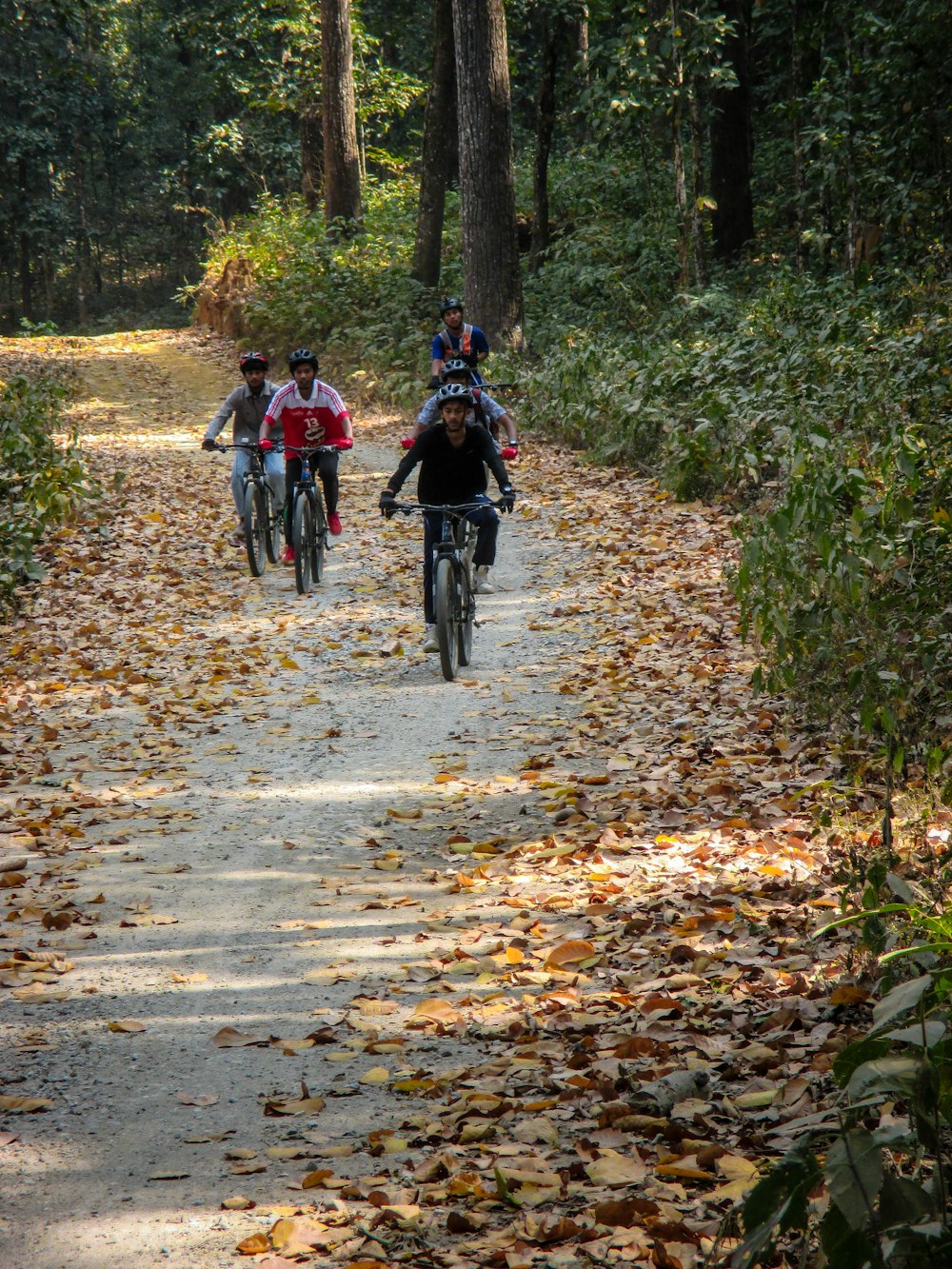 a group of people riding bikes down a leaf covered road