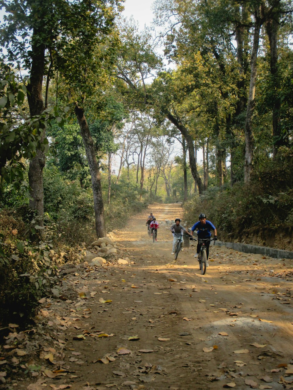 Un grupo de personas montando en bicicleta por un camino de tierra