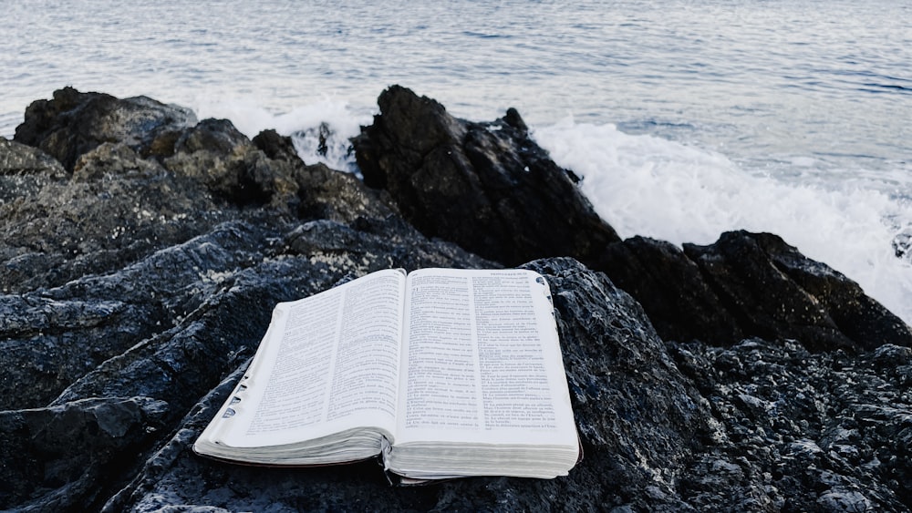 ein offenes Buch, das auf einem Felsen neben dem Meer sitzt