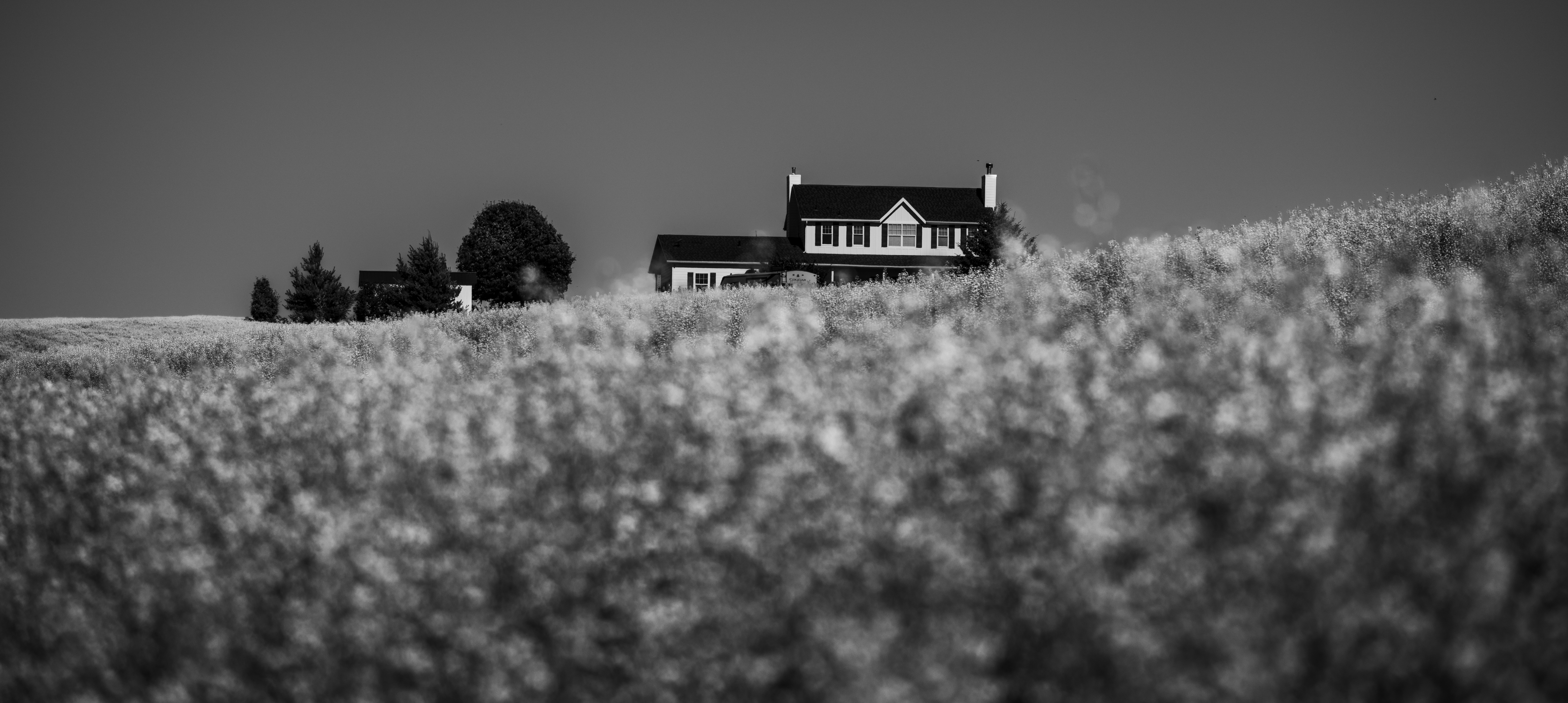 a black and white photo of a house on a hill
