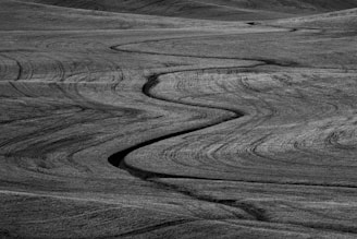 A grayscale landscape features undulating hills with smooth contours. The land appears to have a textured surface, creating a flowing, wavy pattern like ripples across a vast, open field.