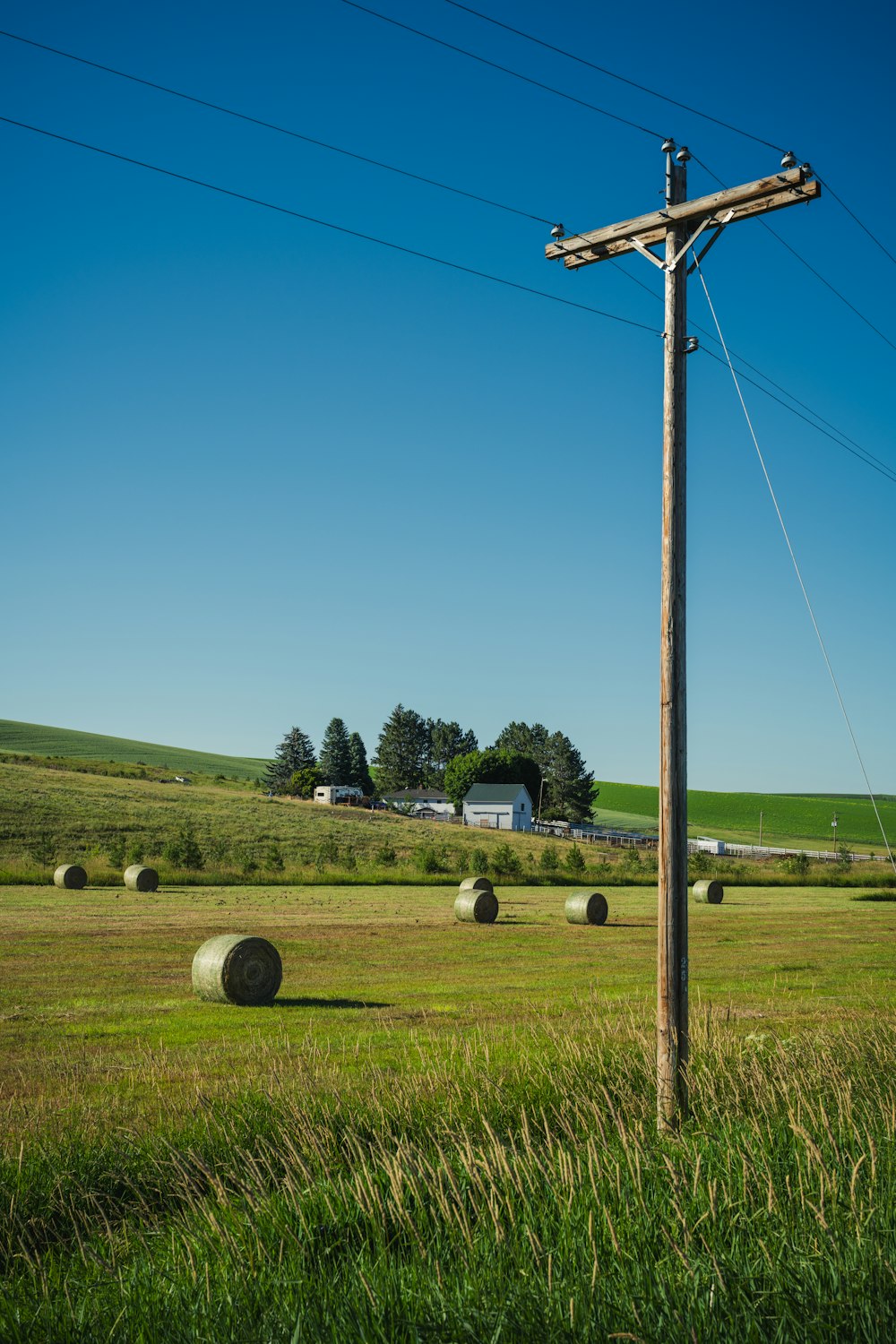 a telephone pole in a field with hay bales