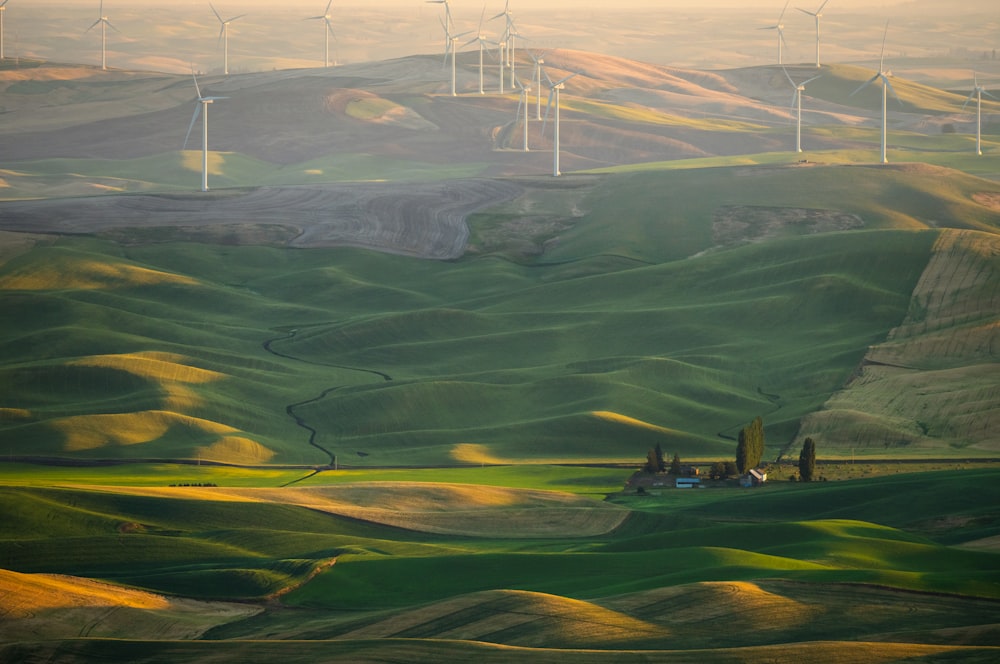 a field of green hills and windmills in the distance