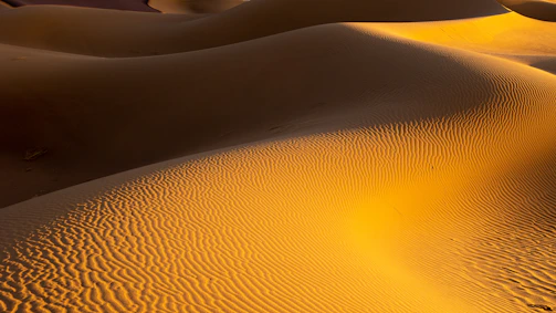 Golden dunes of Merzouga glowing warmly in the early morning light.