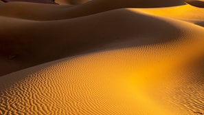 Golden sand dunes dotted with delicate shells glowing warmly under a setting sun.