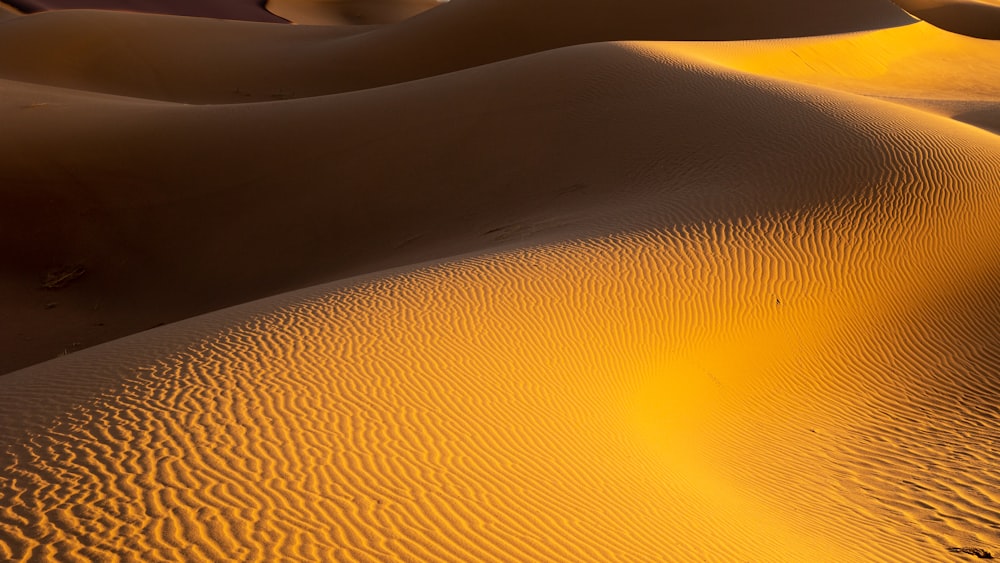 a group of sand dunes in the desert