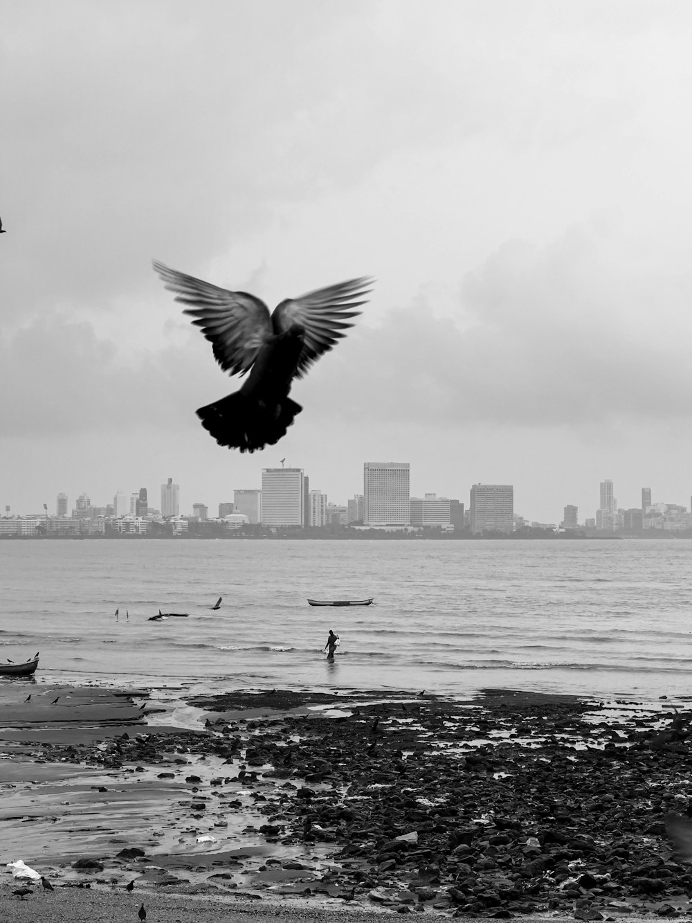 a black and white photo of a bird flying over a beach