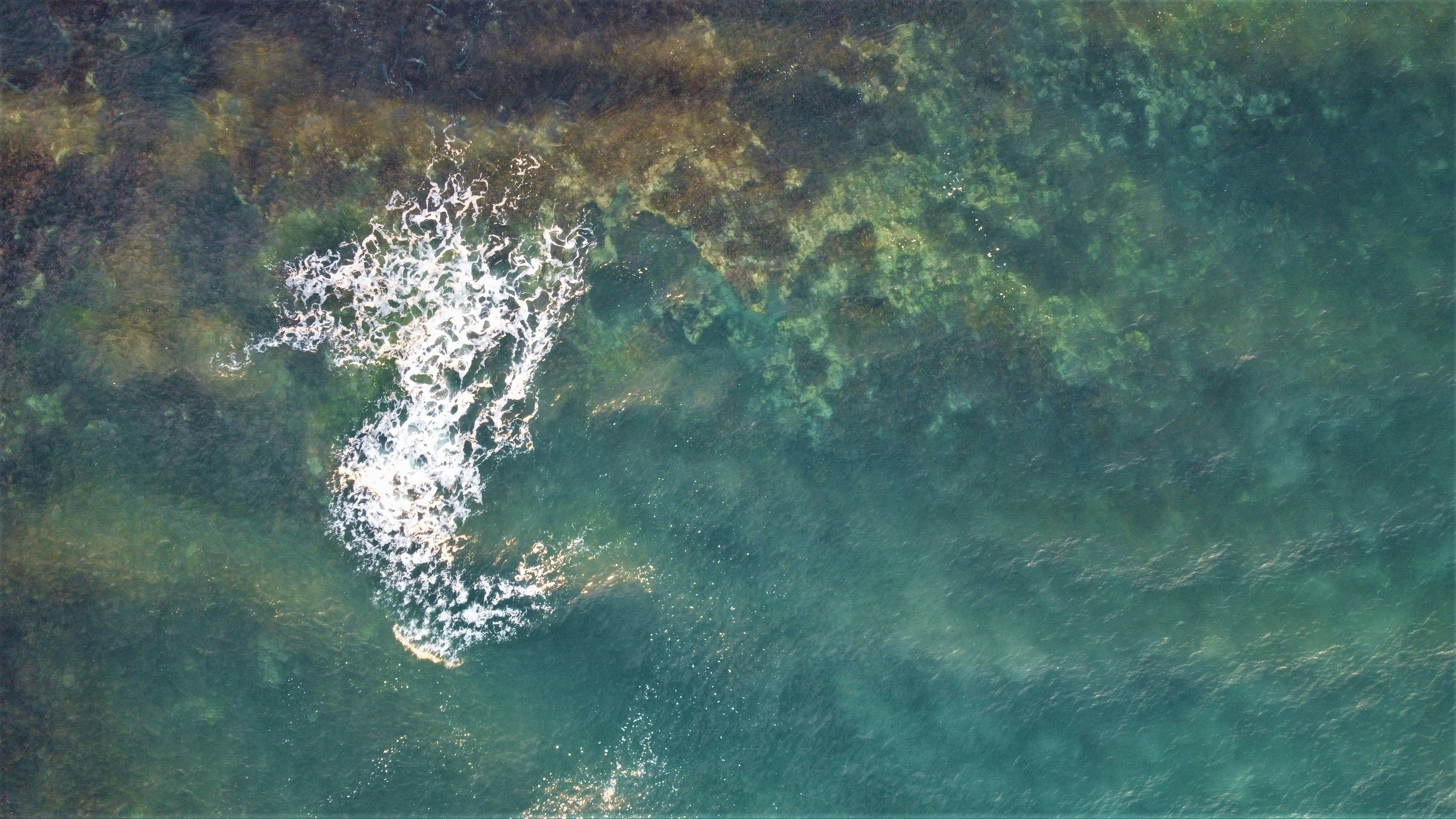 Photo by photoken123