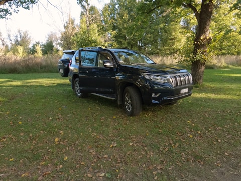 A shiny black SUV with dark tinted windows parked under a tree.