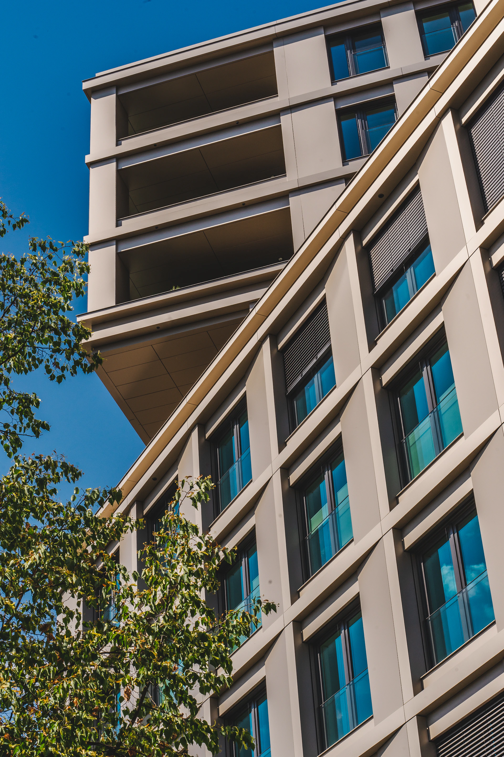 a tall building with lots of windows next to a tree