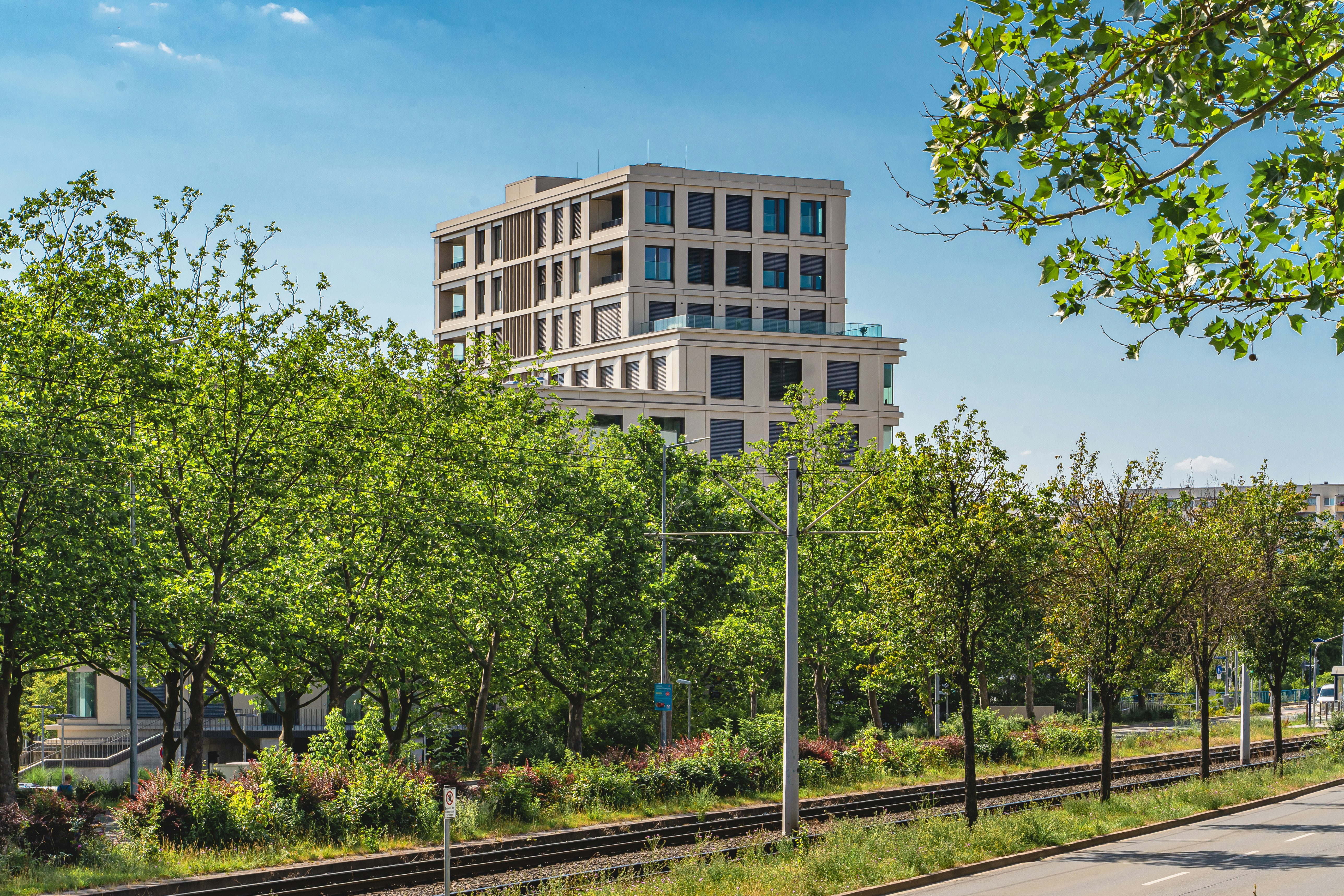 Photo by studio_kannwas