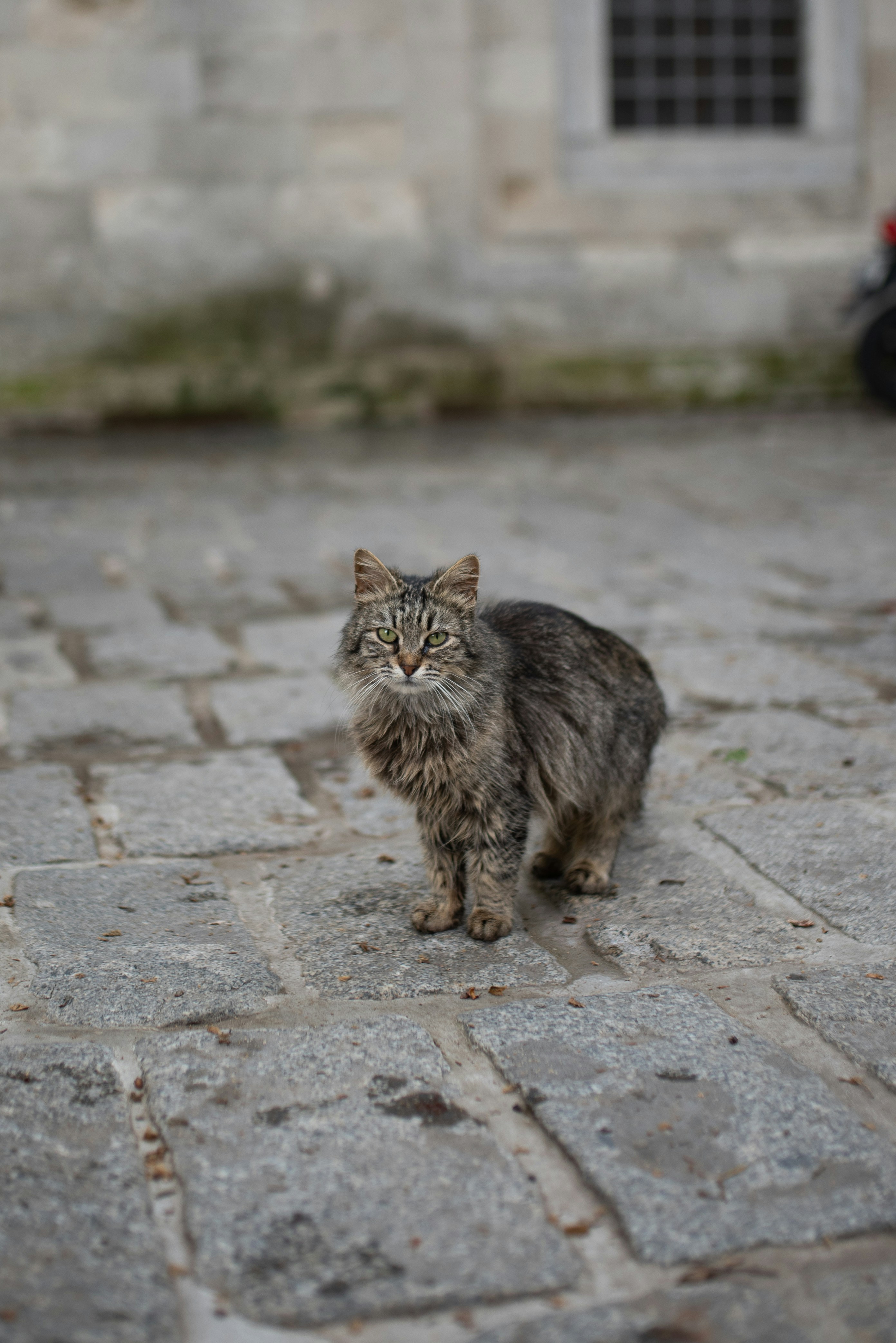 Photo by monik_guzik