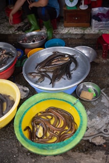 Various bowls and basins are filled with live fish and eels, displayed on the ground in an outdoor market setting. A person wearing green boots is seated nearby, and there is a scale and other market paraphernalia in the background.