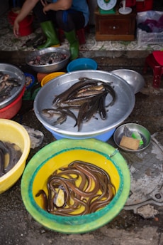 Various bowls and basins are filled with live fish and eels, displayed on the ground in an outdoor market setting. A person wearing green boots is seated nearby, and there is a scale and other market paraphernalia in the background.