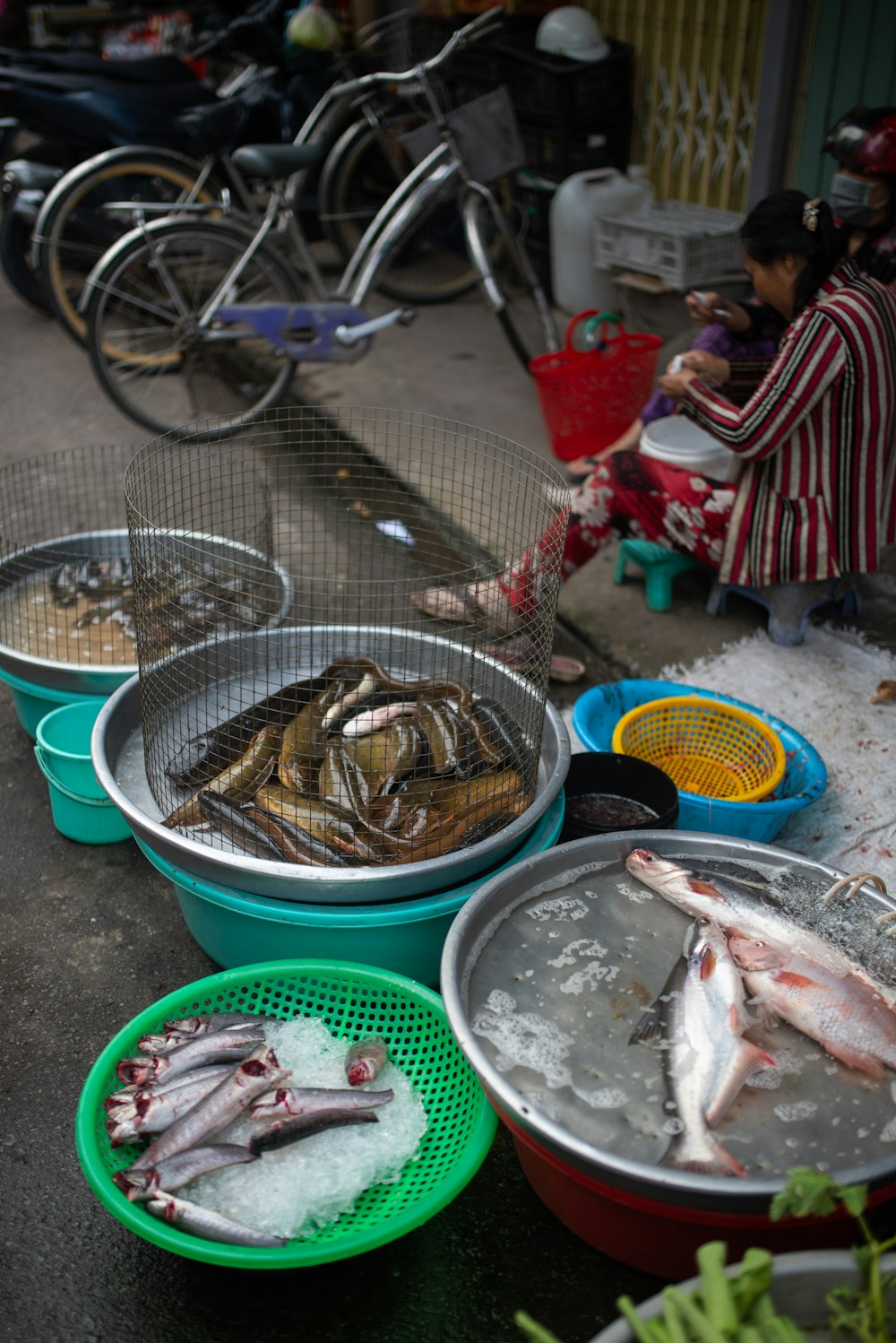 a bunch of buckets filled with different types of fish