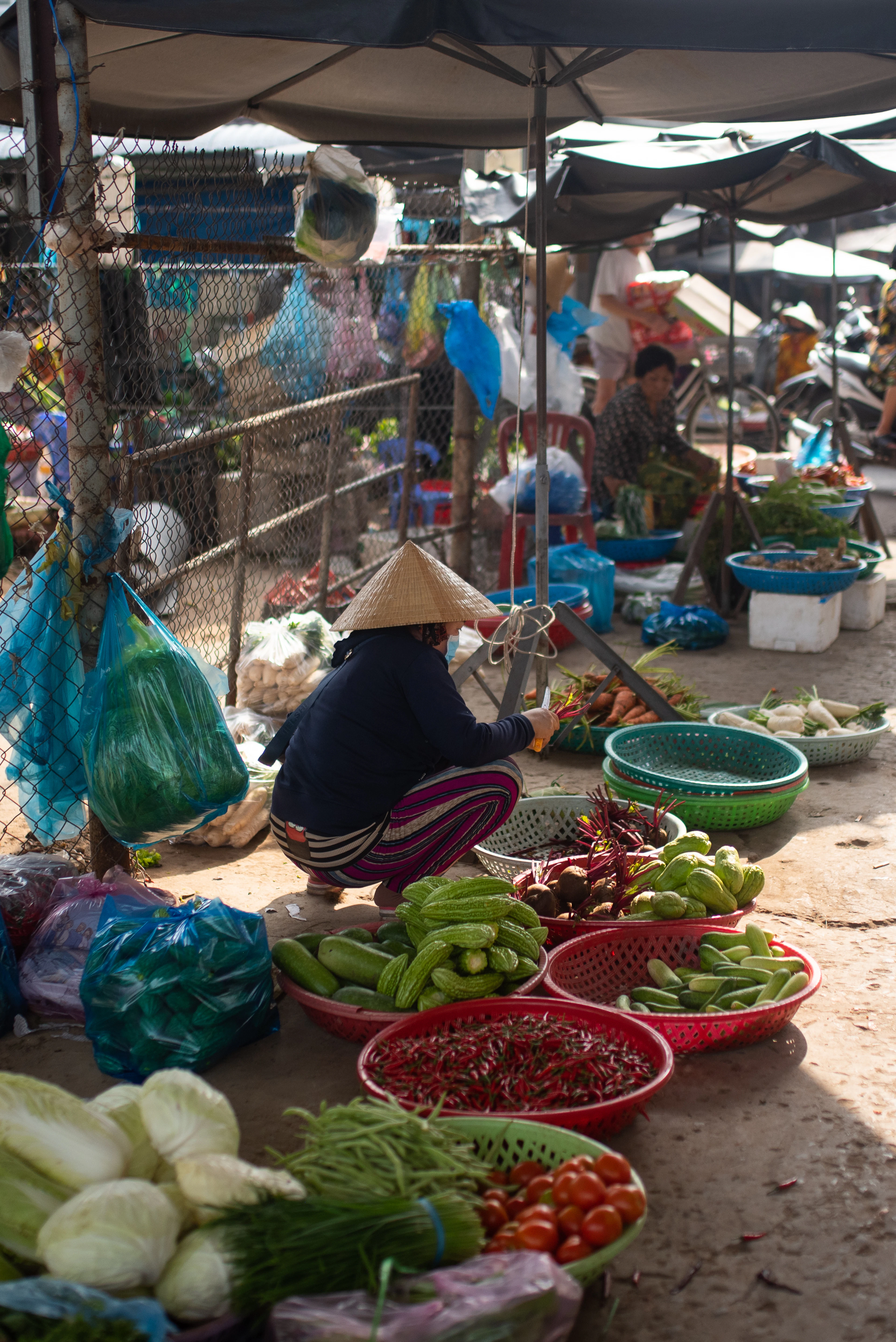 Tra Que vegetable village, Hoi An