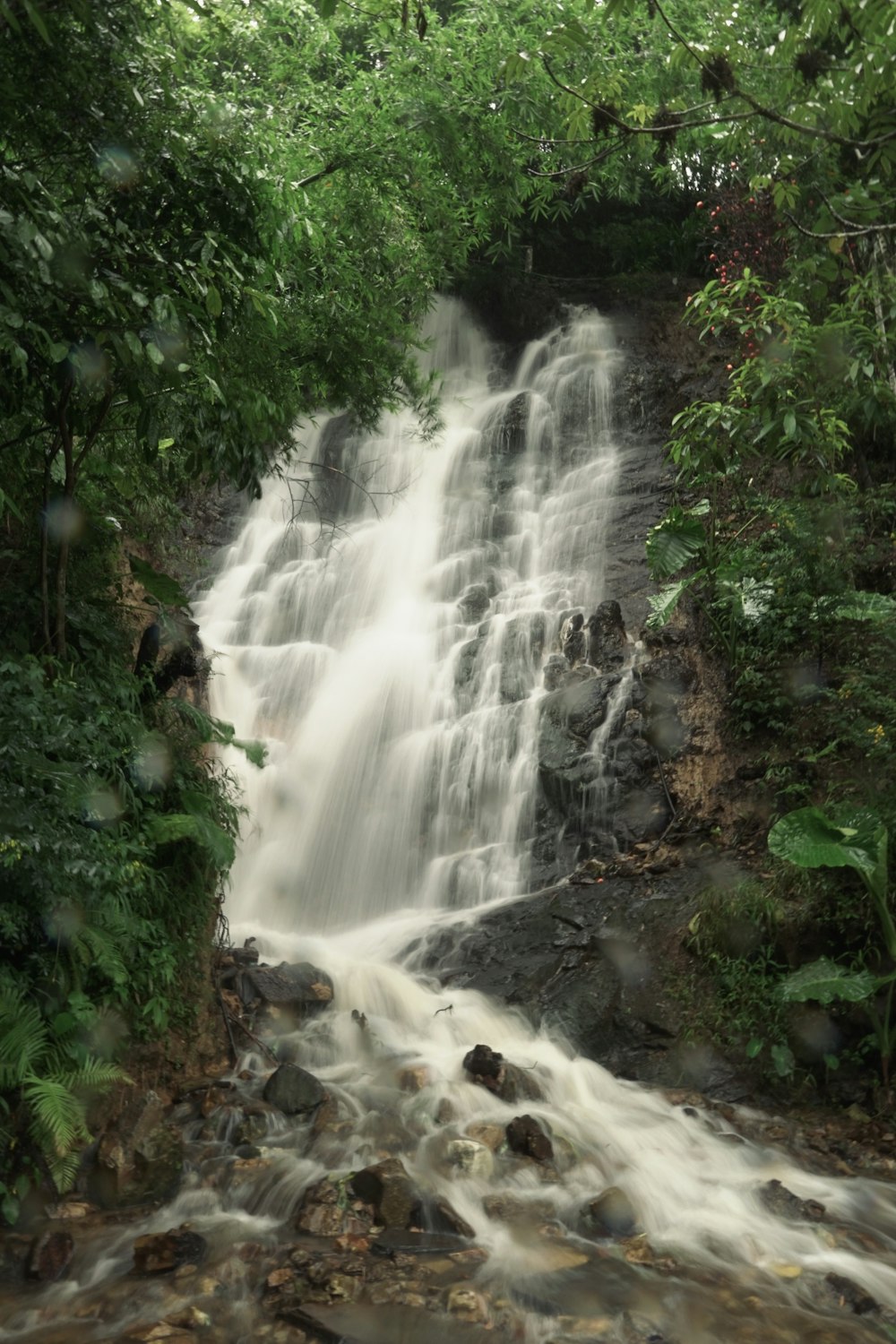 a waterfall in the middle of a forest