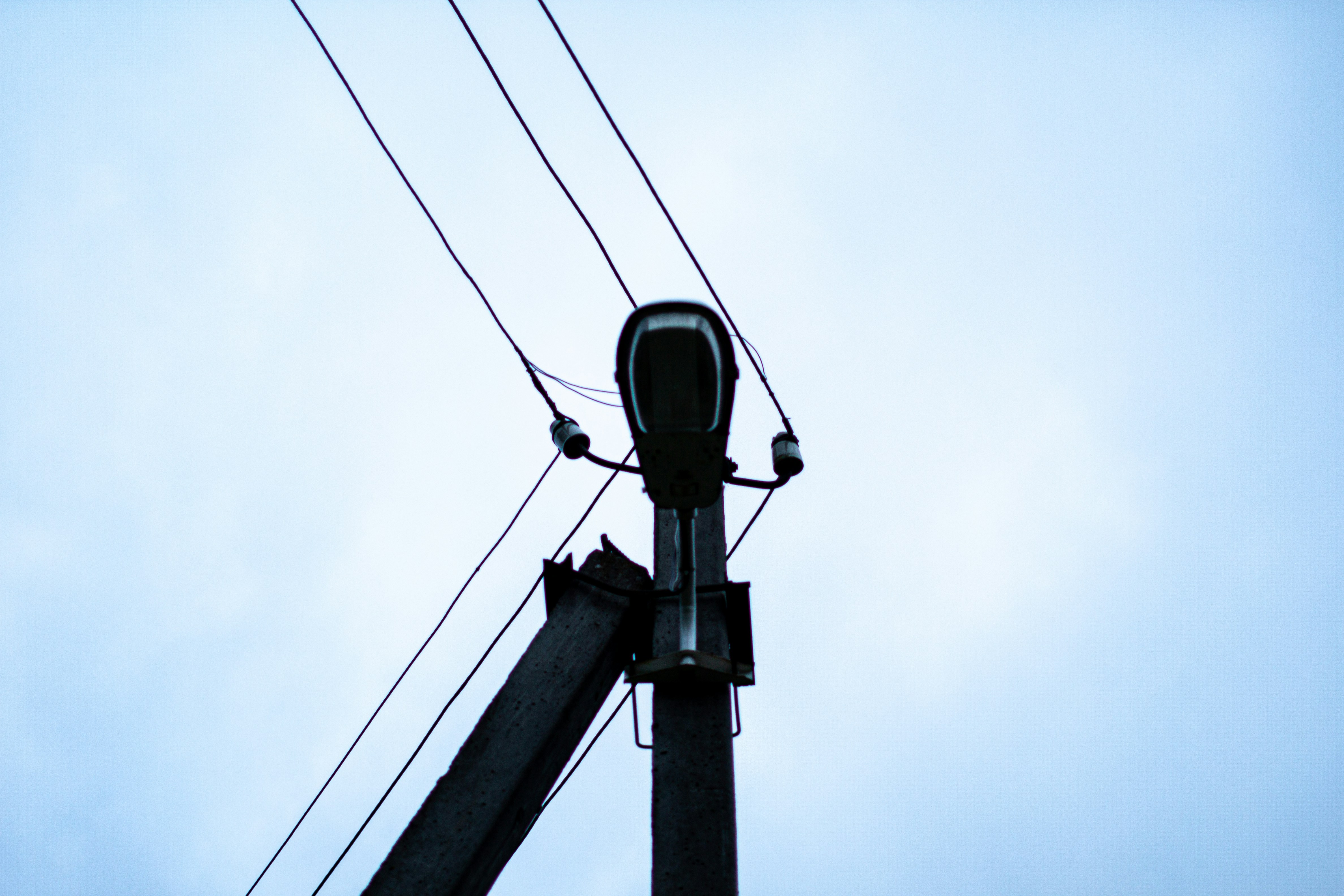 Photo by blackdegus_photo