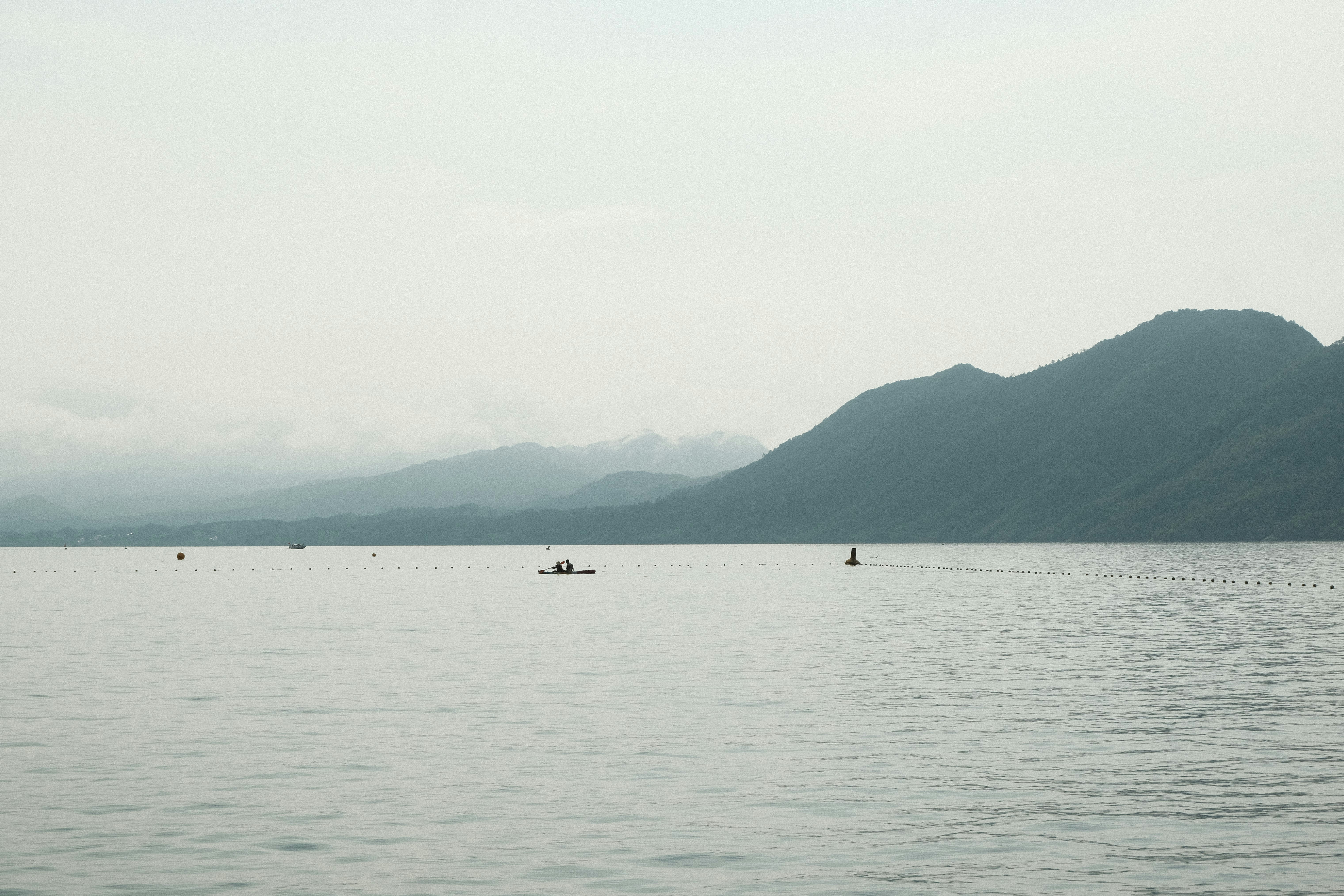 Photo by divya675367