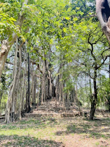A serene village scene with smiling children and elders gathered under a large banyan tree, symbolizing community and growth.