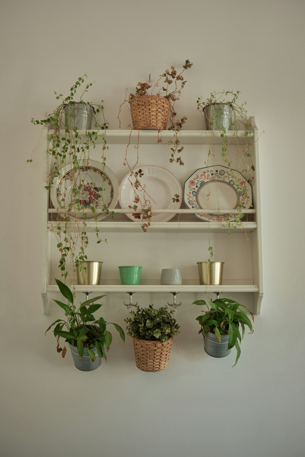 a shelf filled with potted plants and plates