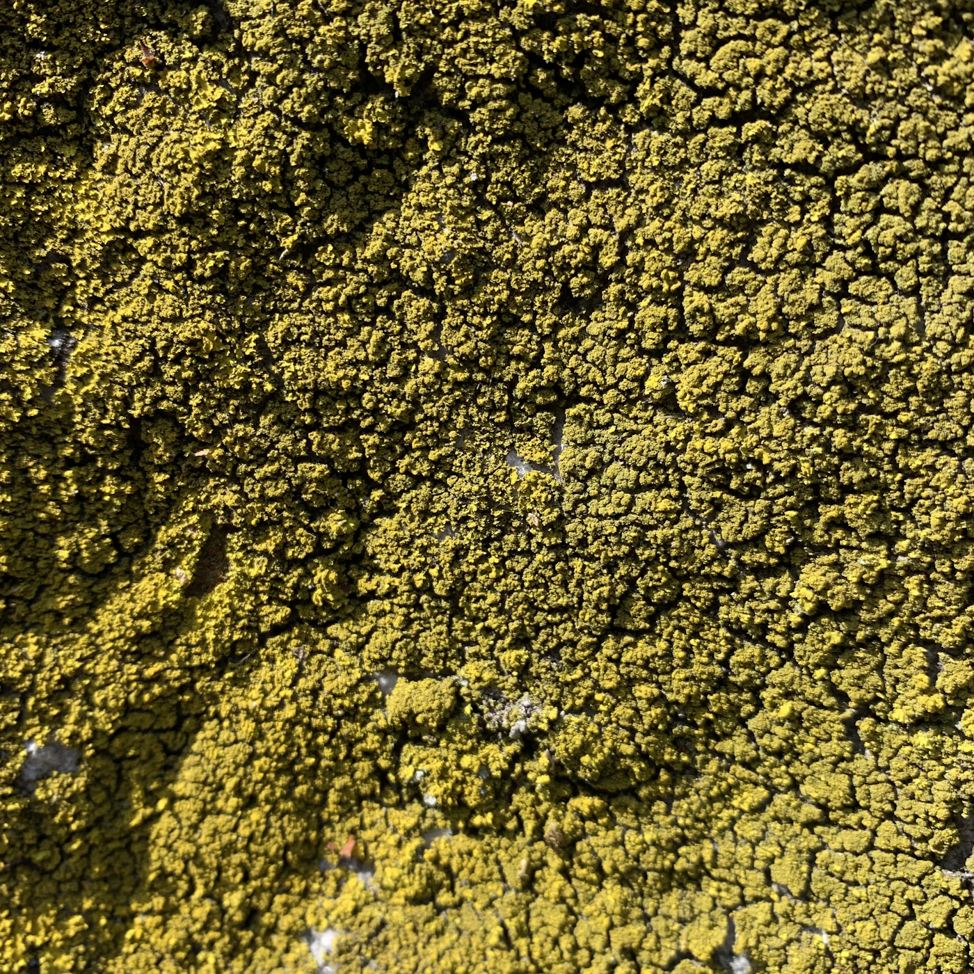 Granular Sulfur