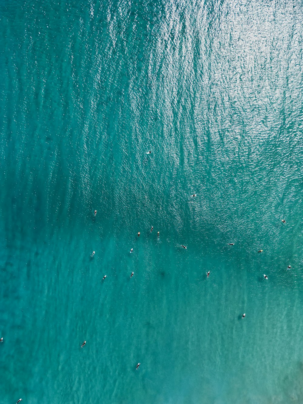 a group of people swimming in the ocean