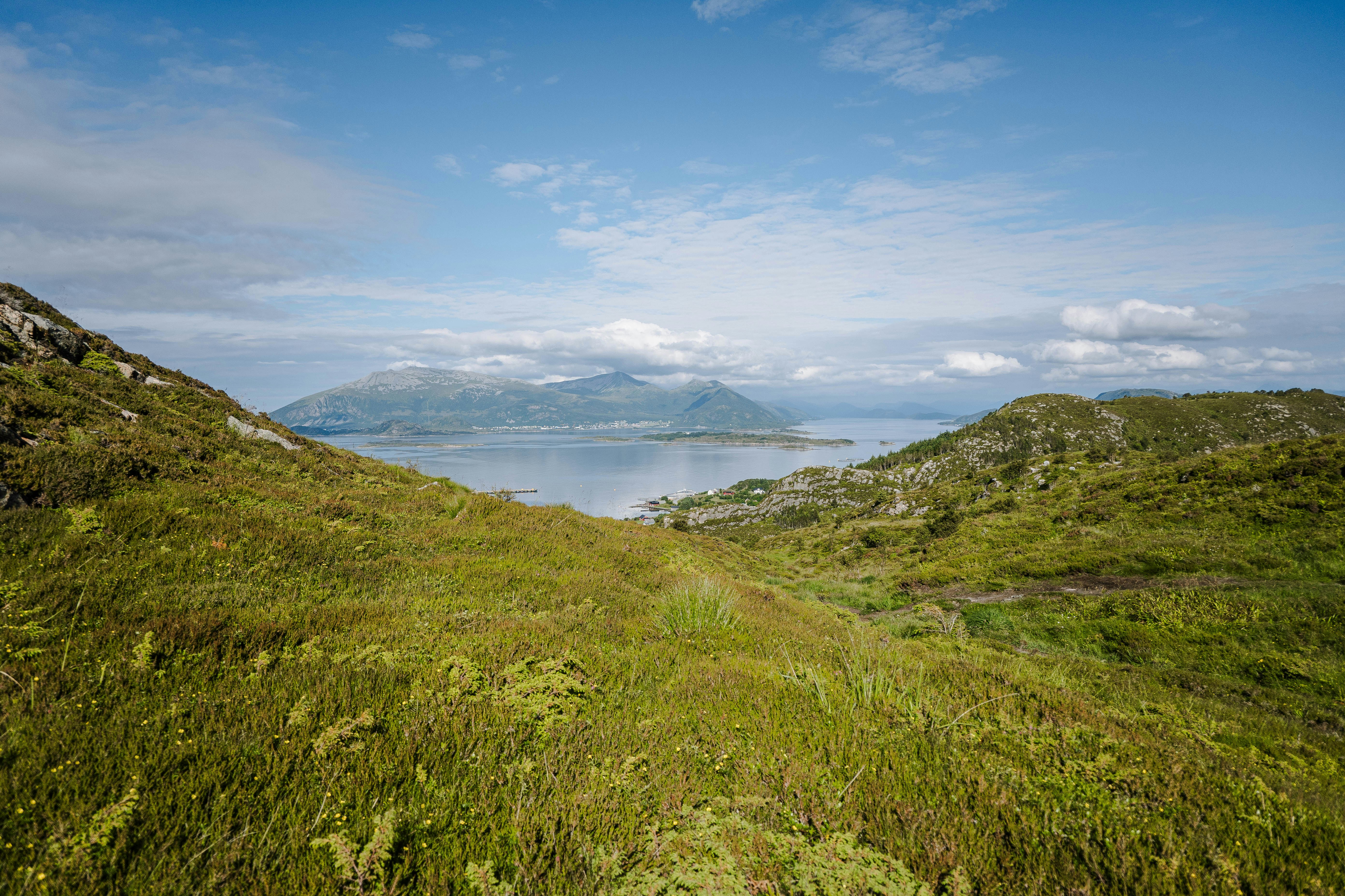 Photo by kotrynajuskaite