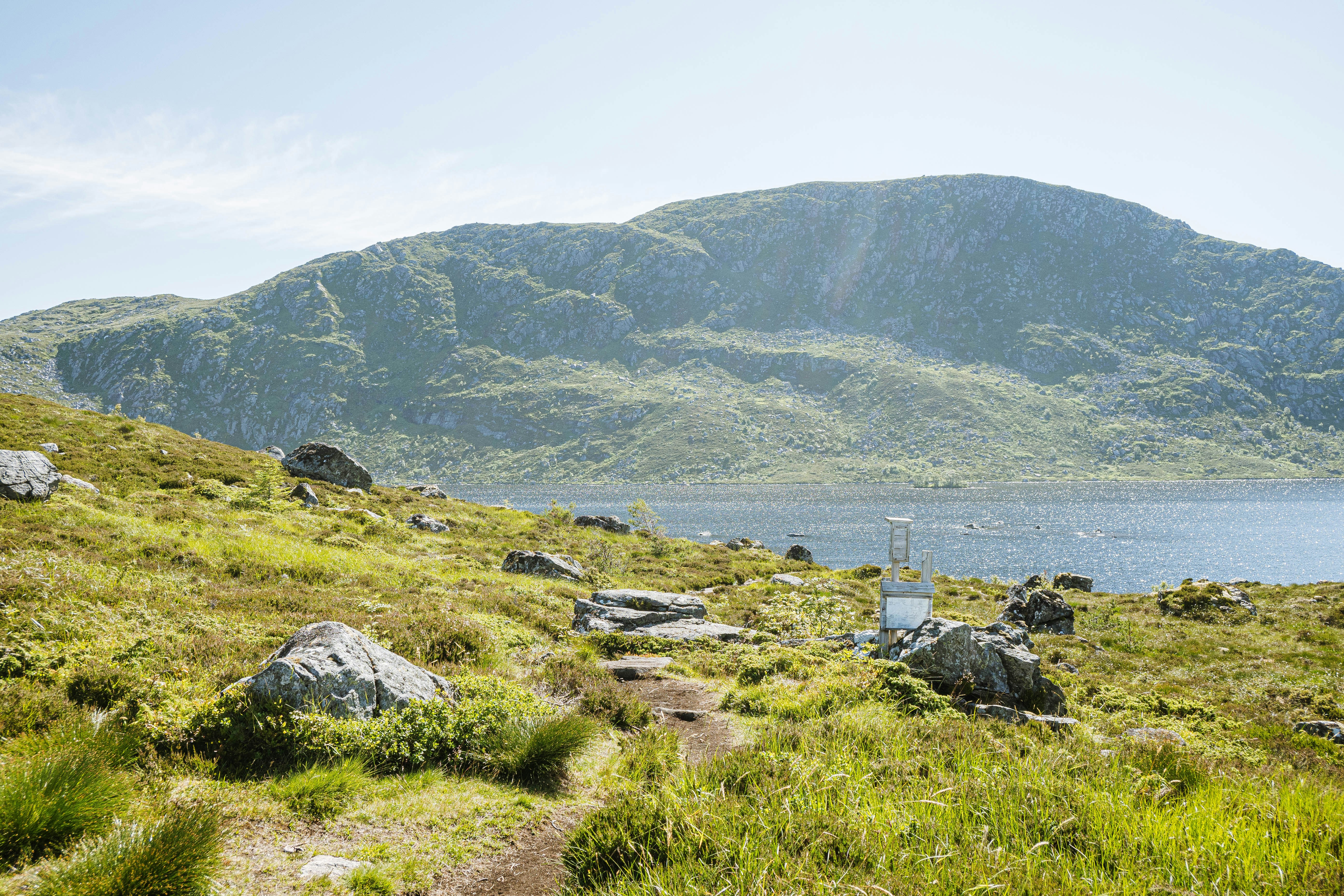 Photo by kotrynajuskaite