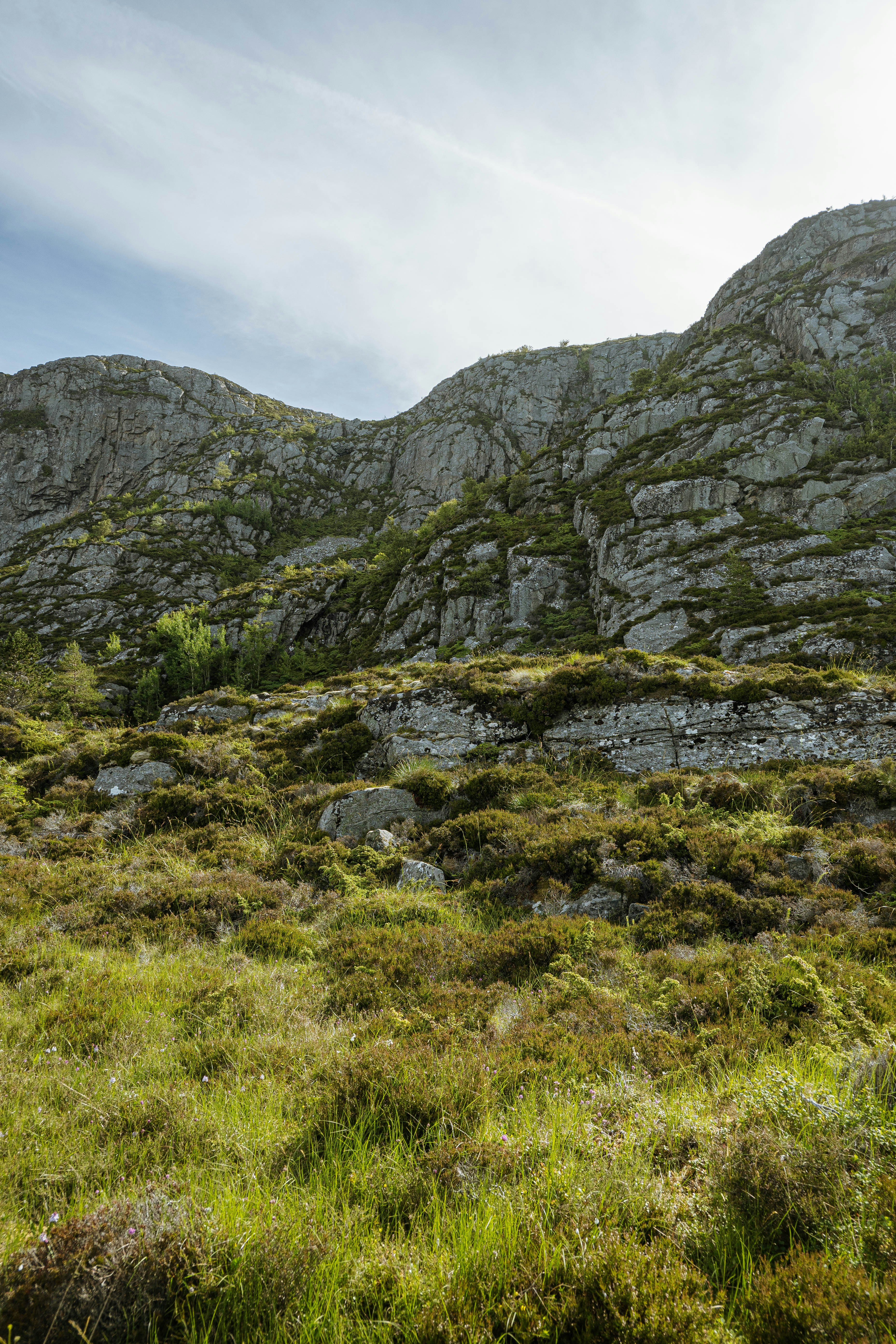 Photo by kotrynajuskaite