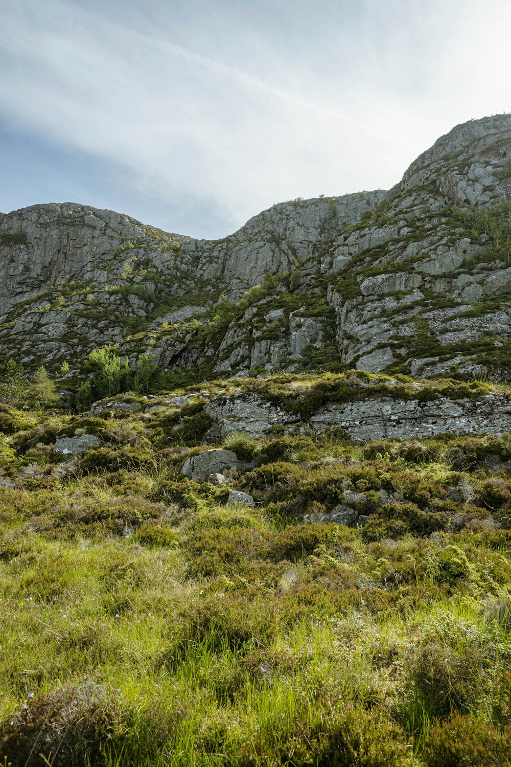 a grassy field with a mountain in the background