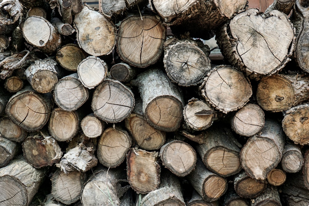 a pile of cut logs sitting next to each other