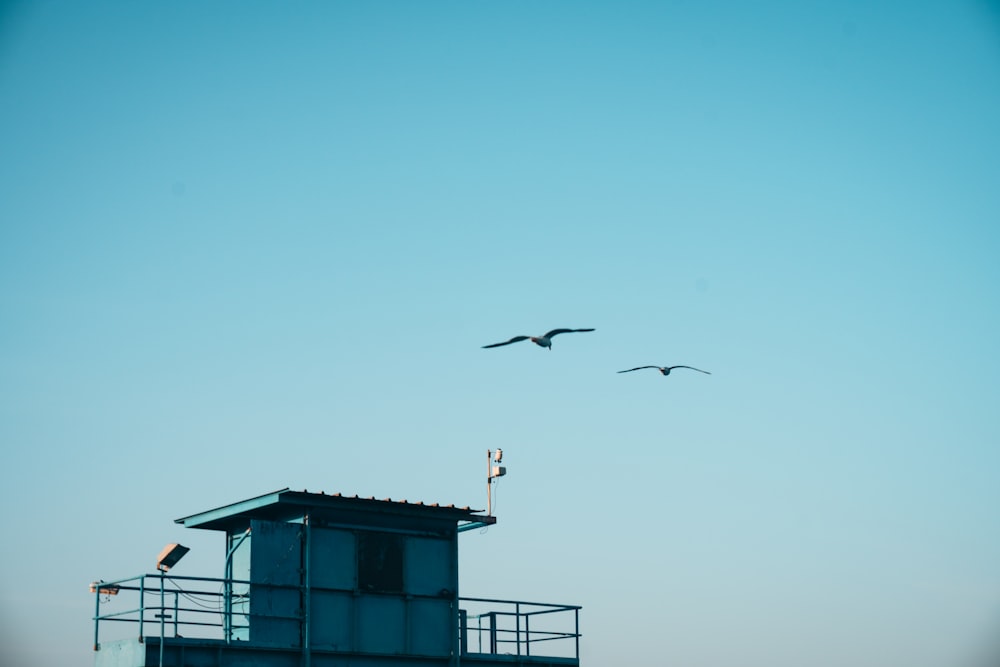 a couple of birds flying over a building