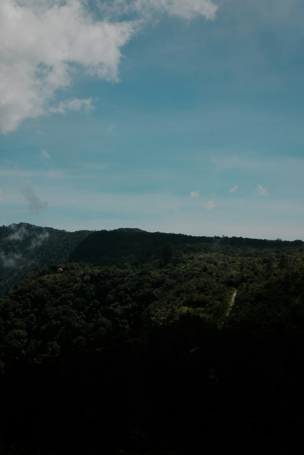 a view of a lush green hillside under a cloudy blue sky