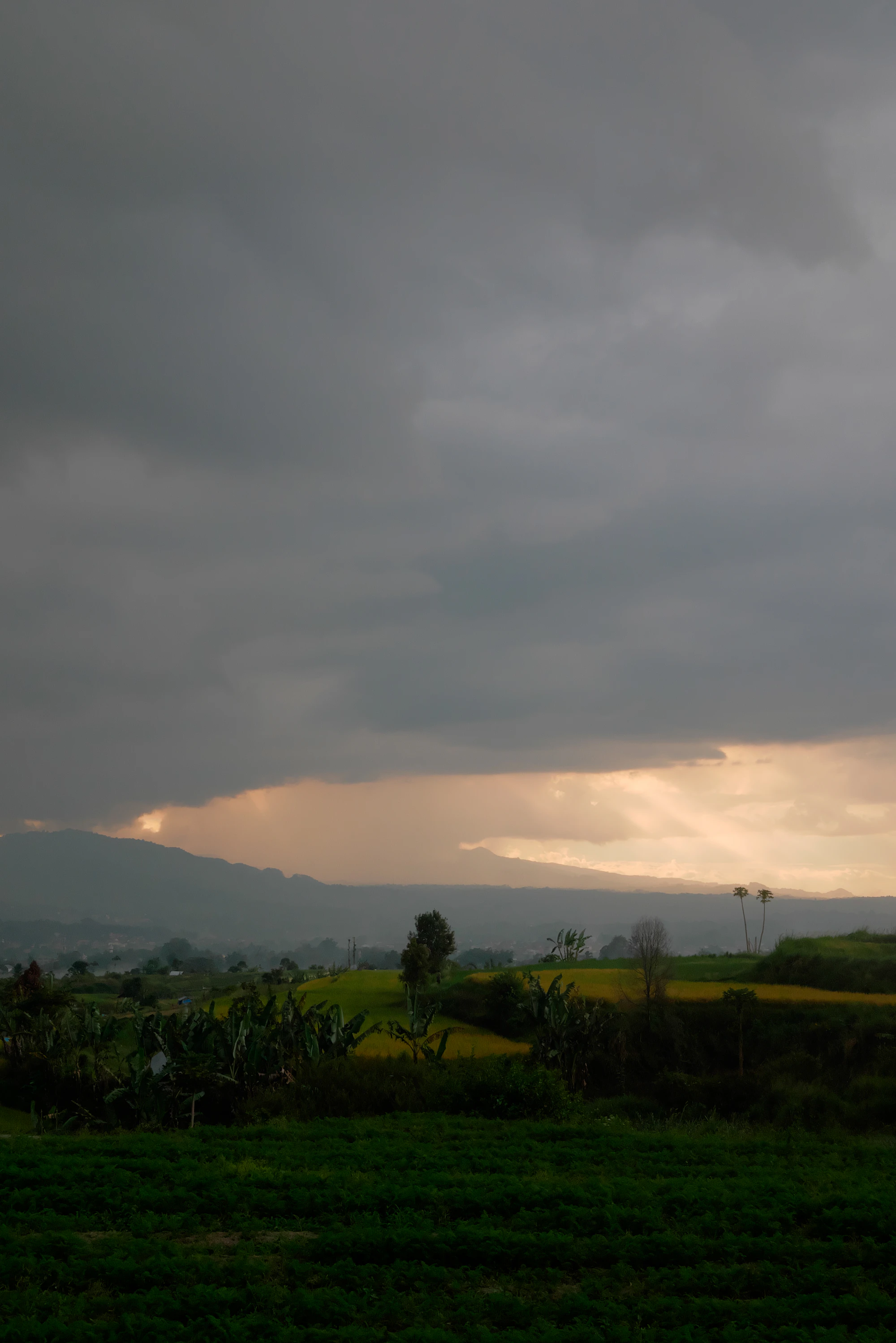 Sunset Selokan Mataram (2)