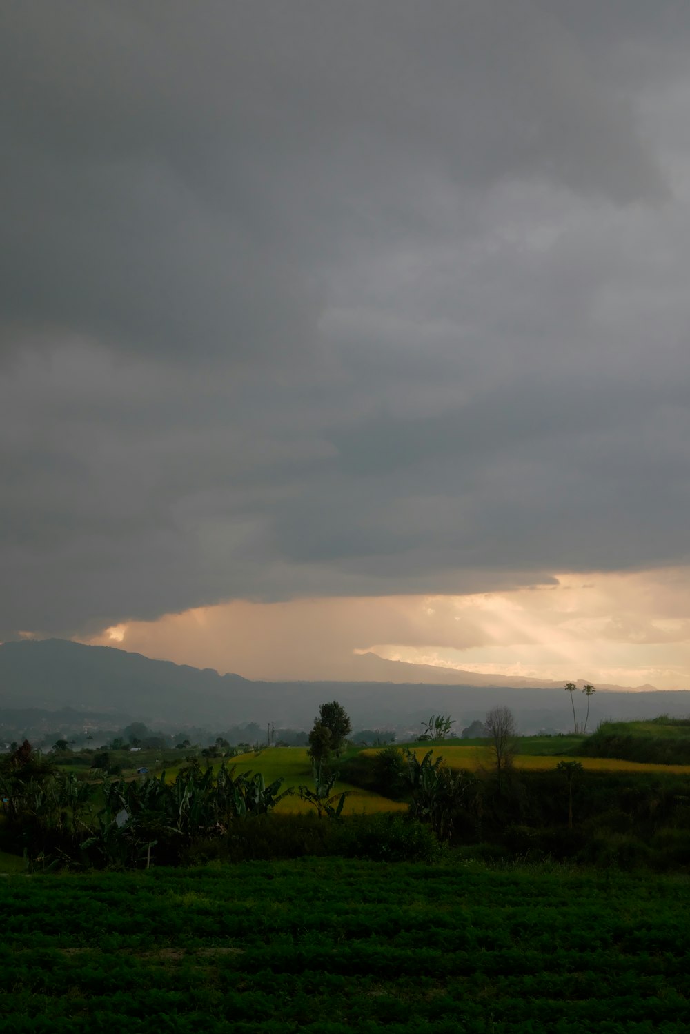 a cloudy sky over a lush green field