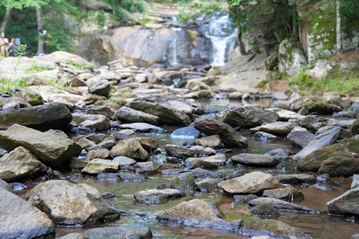 A serene natural scene featuring a rocky stream flowing gently through a lush forest. The water cascades over smooth stones, surrounded by green foliage. In the background, a small waterfall adds to the tranquil setting.