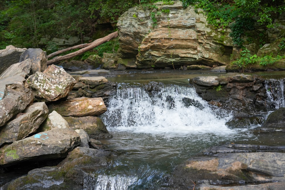 a small waterfall in the middle of a forest