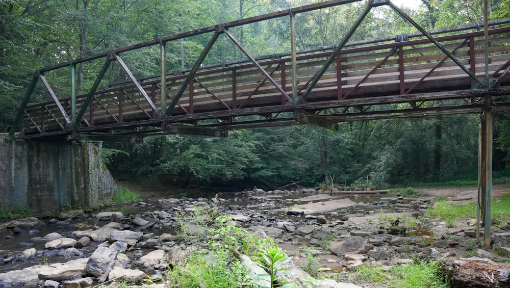 a bridge over a stream in a forest