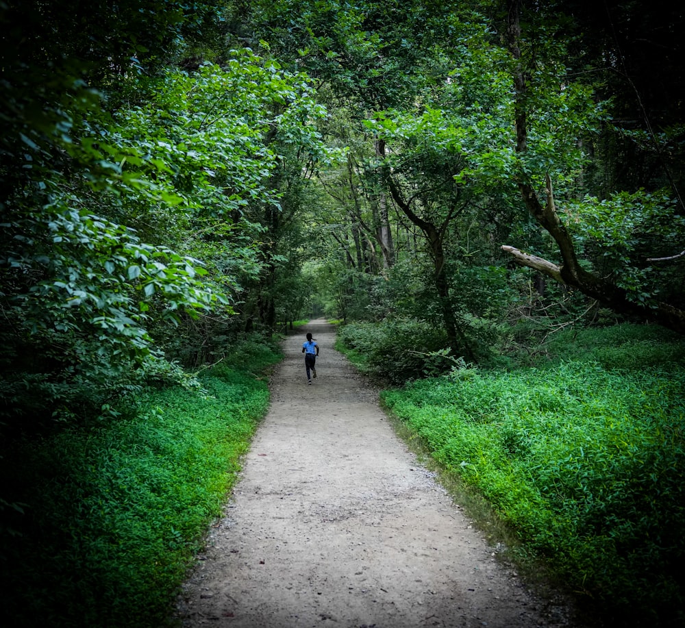 a person walking down a path in the woods