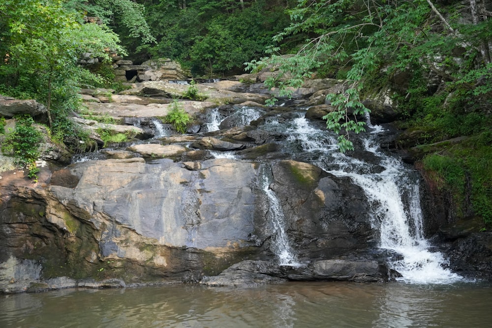 a small waterfall in the middle of a forest