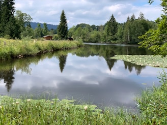 A serene private lake surrounded by lush greenery, with a small dock and a cozy cabin nearby.