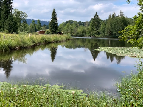 A serene private lake surrounded by lush greenery, with a small dock and a cozy cabin nearby.