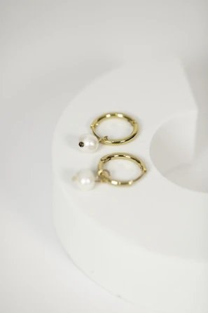 Minimalist gold hoop earrings displayed beside a sprig of dried flowers.