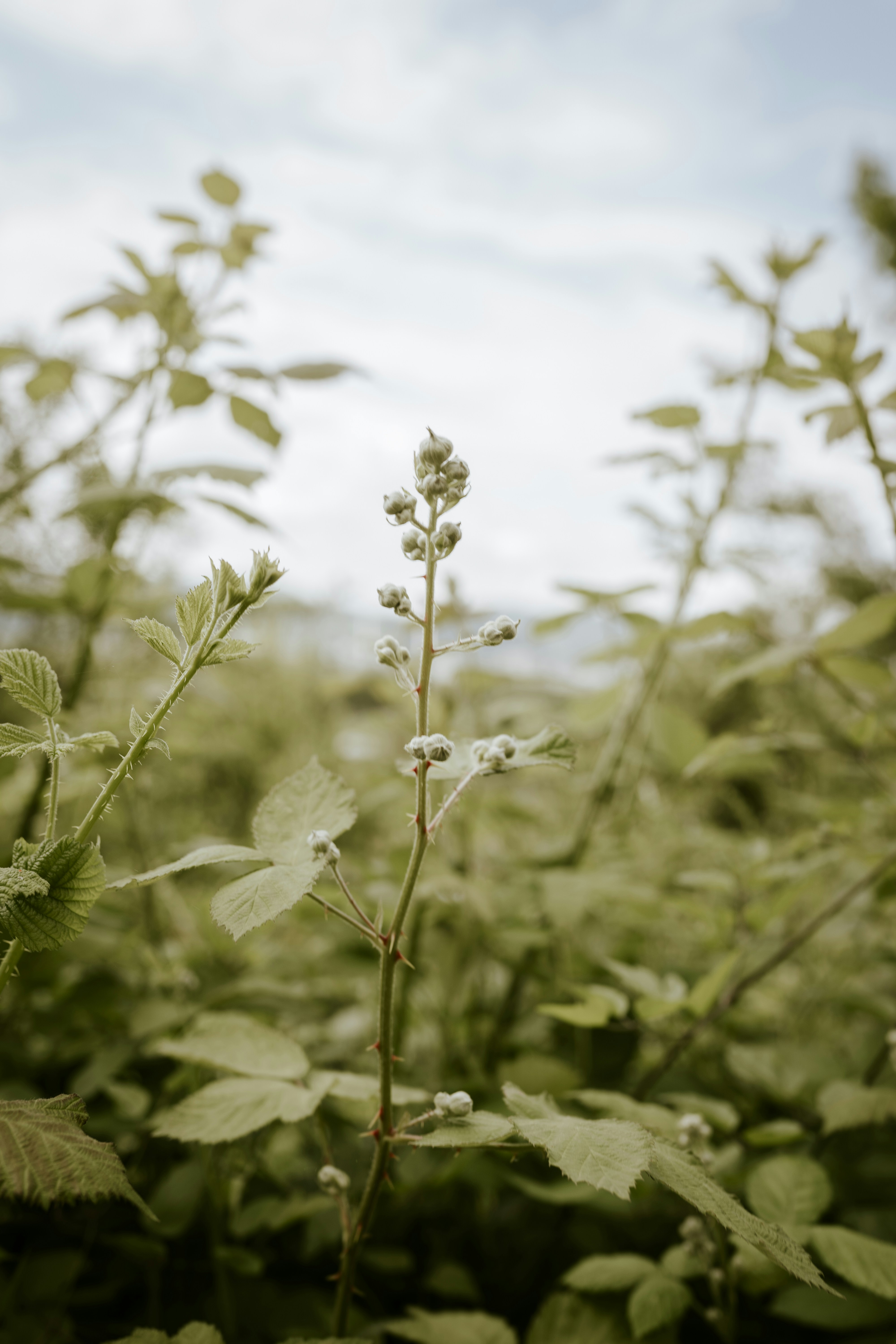 Photo by what_co_capture