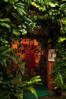 A vibrant gallery space with colorful axolotl-themed paintings and floral decorations inspired by Xochimilco.